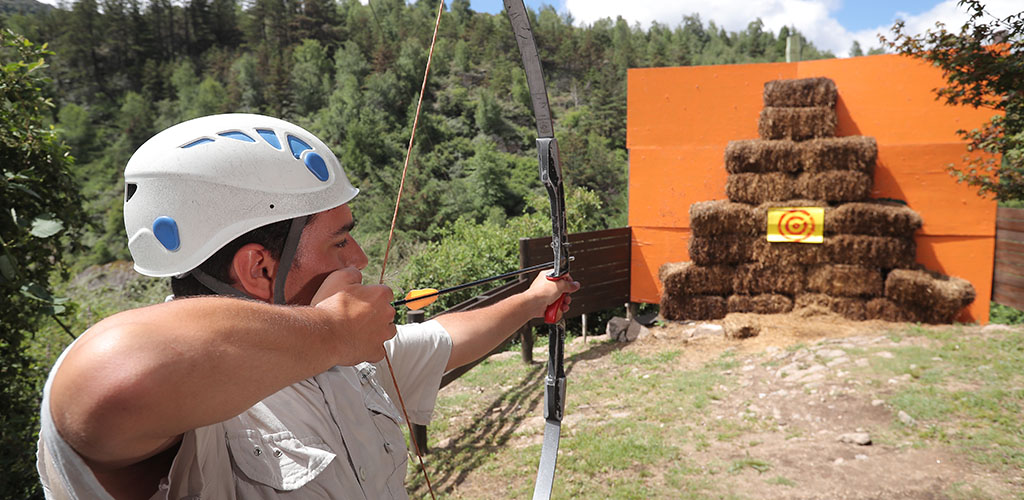 GambrinusMesa de trabajo 3 (1)